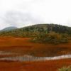 田茂萢湿原の紅葉