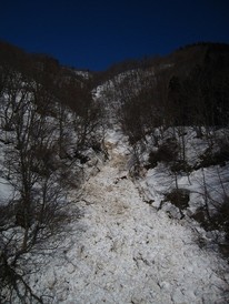 雪崩れ跡　はるか斜面の上から大量の雪が木々を巻き込みながら落ちてきたのがわかります