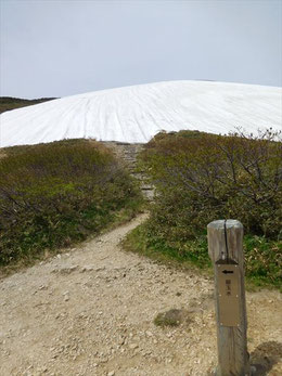 「銀玉水」看板とその先に広がる残雪斜面。直登しなければなりません。