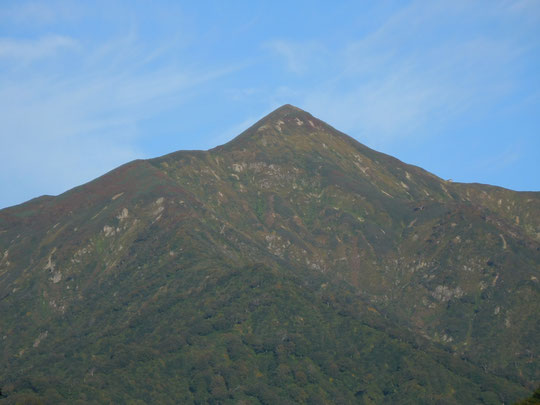朝日鉱泉正面より望む大朝日岳山頂。6合目付近の紅葉が非常にきれいです。