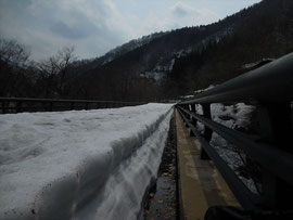 4/14　小屋開け準備　行きの途中の「サカマ沢橋」上の残雪は約80ｃｍ