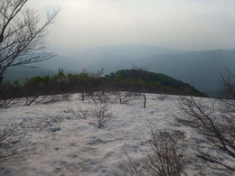 白滝登山口から鳥原山へ　登りの最後で100ｍほどの残雪あり