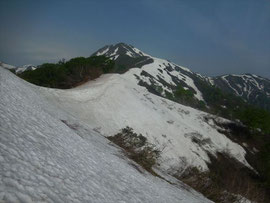 鳥谷山山頂から小朝日岳への尾根にとりつくと例年7月上旬まで残る北側斜面の残雪がまだ2ｋｍ程度続きます。軽アイゼン必須！