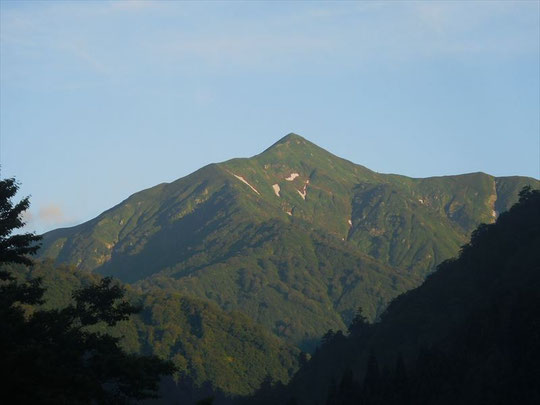 大朝日岳も夏山姿になりました