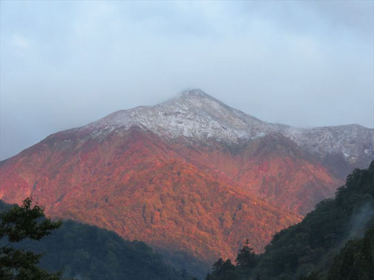 初雪です！朝日を浴びて真っ赤に染まる山腹と雪化粧の山頂に目を奪われます
