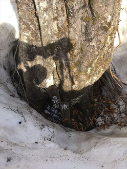 4合目長命水の看板はかろうじて雪が融けた木の根元に見えました。