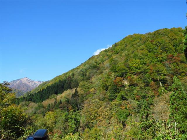 山頂部の紅葉は終わり、山腹の標高1000ｍ前後は見頃です。朝日鉱泉周辺（標高550ｍ）の紅葉はもう少しです。