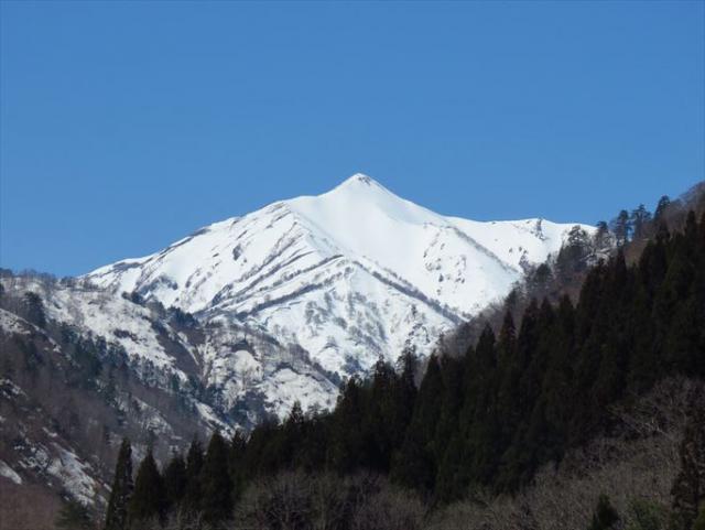 大朝日岳。まだまだ雪に覆われています。