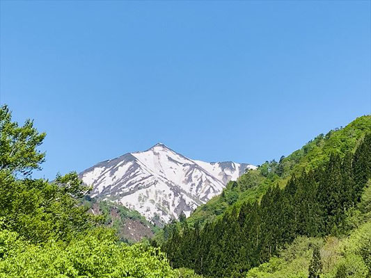新緑と青空、雪をたっぷりまとった大朝日岳