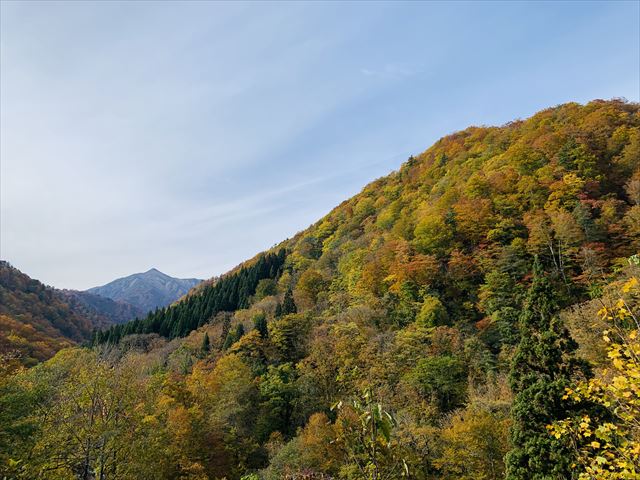 山頂部～標高1400ｍあたりまでの紅葉は終わり、500ｍ～1000ｍあたりが見頃