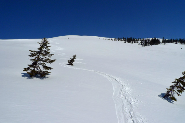 積雪はたっぷり、現在は山スキーヤーには天国 