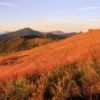 朝日を浴びる草紅葉と燧ヶ岳 