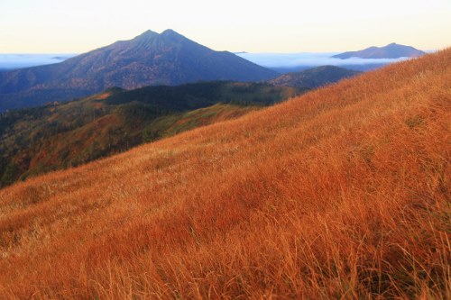 草紅葉の向こうに聖人のごとく佇む燧ケ岳と雲上に浮かぶ至仏山