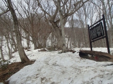 階段から営林署の看板までほとんど雪はありません。