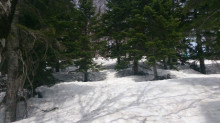 滝沢登山道から上がる水場はまだ雪の下です。
