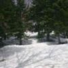 滝沢登山道から上がる水場はまだ雪の下です。