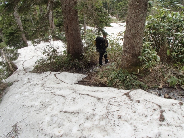 滝沢登山道は水場から上で雪があります。こんな調子で登山道が出たり雪が出たりです。