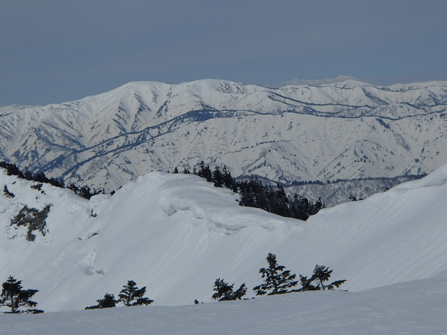 偵察山行　手前にあるのが大津岐峠へいく富士見林道。奥にある雪たっぷりの山が平ヶ岳