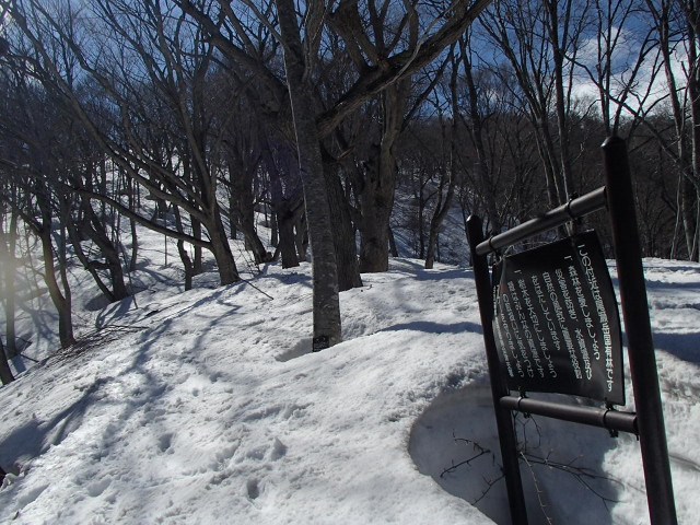 営林署の看板は雪から出ていました。