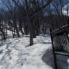 営林署の看板は雪から出ていました。