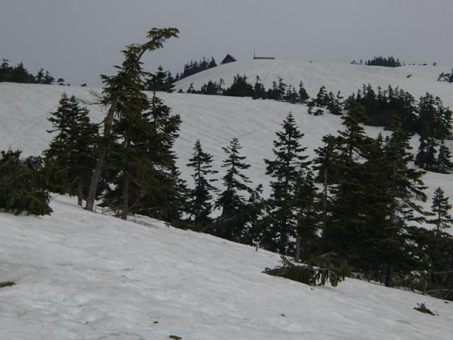 滝沢登山道は水場から上は雪上。小屋が見えてきたあたり