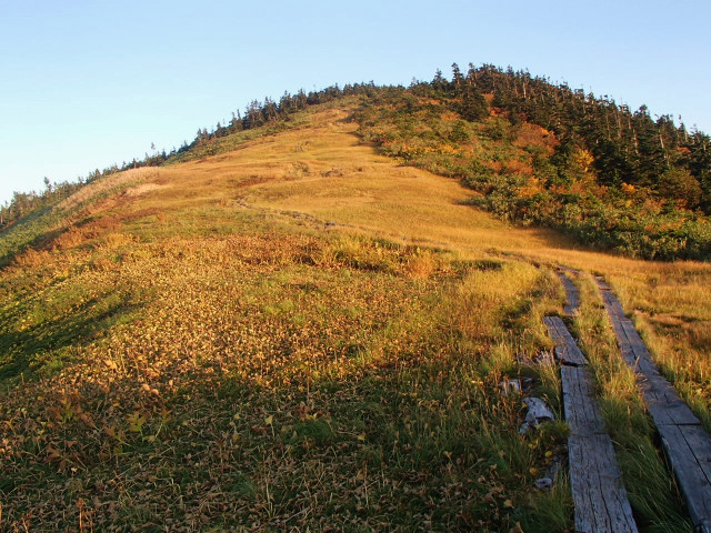これから体育の日がくらいまでが駒の小屋～山頂～中門岳の 
草紅葉の見ごろです。