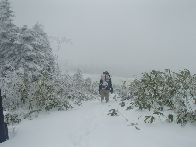 雪の中の下山　昨日は大荒れに荒れて駒の小屋周辺では膝～太ももくらいまでの降雪量となりました。