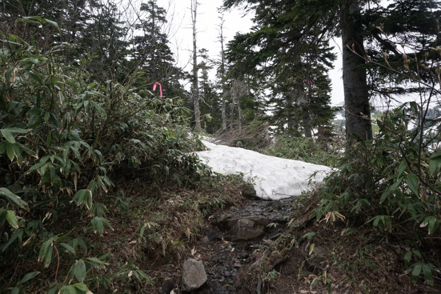 滝沢登山道の中間部では、まだ残雪残る所と、夏道が出た所が混じっています。標高1700ｍあたりに間違ったトレースがあるので注意して下さい。雪がないところではアイゼンは脱いで下さい。