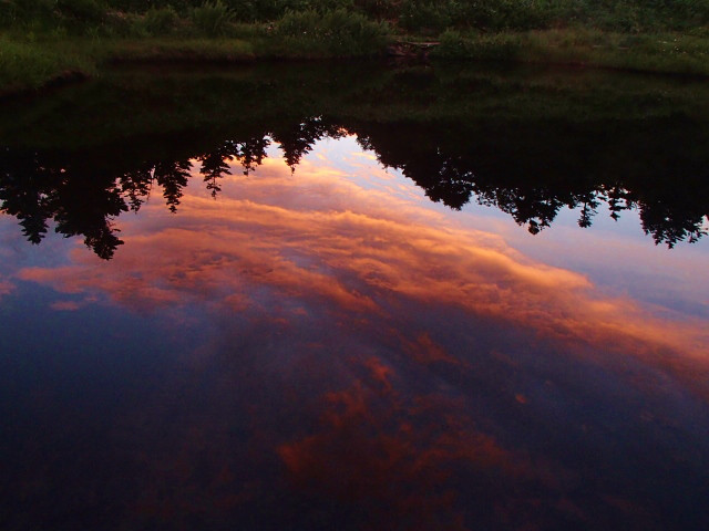 ちょっと不思議な感じがする写真ですが、小屋前の池に焼けた雲が 
映っている写真です