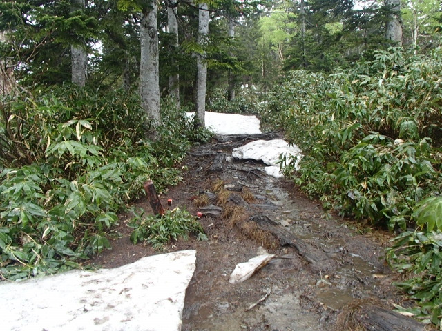 滝沢林道途中　山頂まで2.2km標識。このあたりから残雪が出てきます。