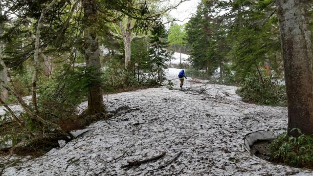 滝沢登山道　水場から上は、残雪と夏道がまじっています
