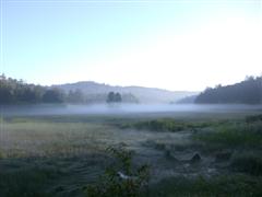 いつになく濃い朝霧が大江湿原から尾瀬沼にかけて帯状に流れていてとても幻想的な風景を見ることが出来ました 
