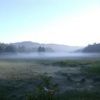 いつになく濃い朝霧が大江湿原から尾瀬沼にかけて帯状に流れていてとても幻想的な風景を見ることが出来ました 