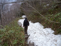 三平峠から一ノ瀬間の状況。雪の踏み抜きに注意 