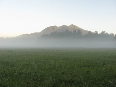 尾瀬では晴れた日に朝霧がよく発生します。 