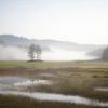 幻想的な湿原の朝霧