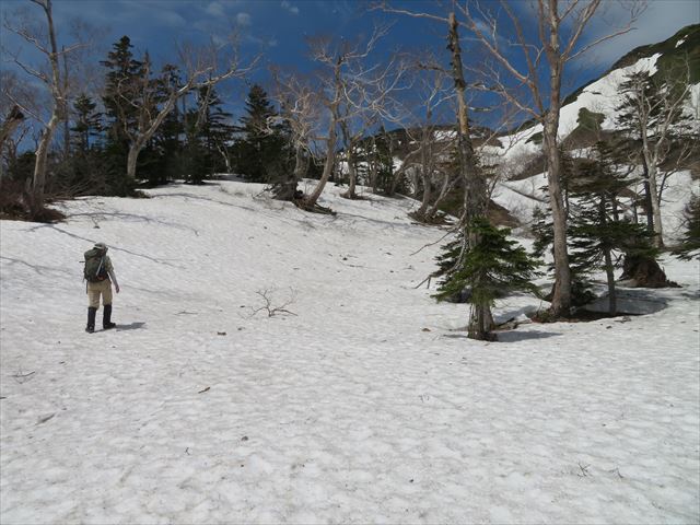 登山道は雪原が広がっているので、道迷いに注意