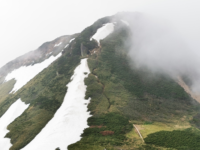 俎嵓から御池に下る登山道上部の雪渓