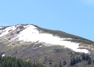暑いくらいの陽気でも至仏山にはまだ残雪が残っています 