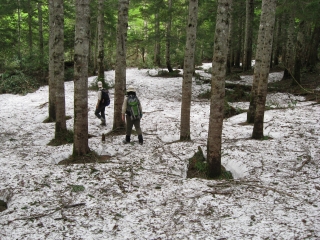 白尾山・皿伏山方面は、まだ残雪が多く道迷い注意 