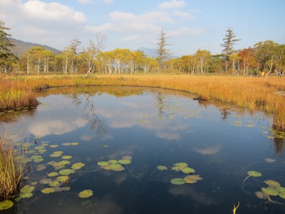 池塘の水面も秋空をすっきりと映し出しています 