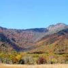 景鶴山の紅葉。独特の頂を冠し、その山肌を滑るように二重三重と色づいています 