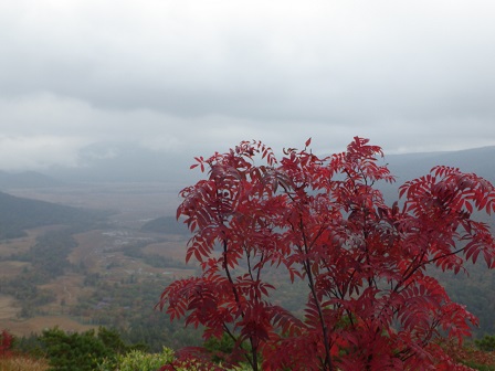 至仏山からの展望とナナカマドの紅葉