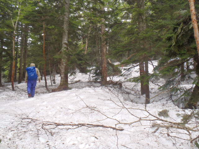 鳩待峠～アヤメ平は、まだ雪に覆われています
