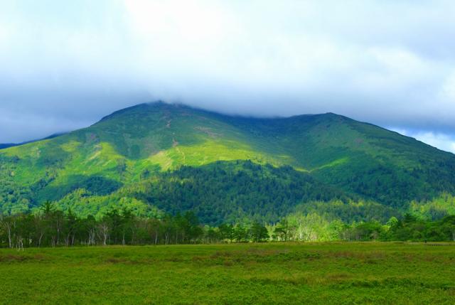 新緑の美しい至仏山