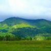 新緑の美しい至仏山