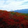 至仏山頂付近の樹木の紅葉
