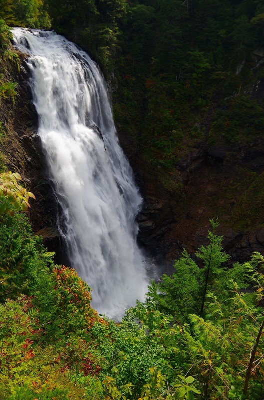 三条の滝は水量が例年より多く迫力があります