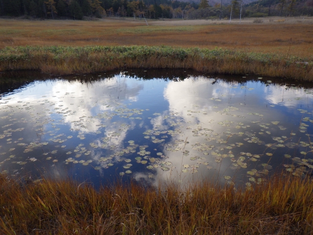 秋の空が映り込む池塘