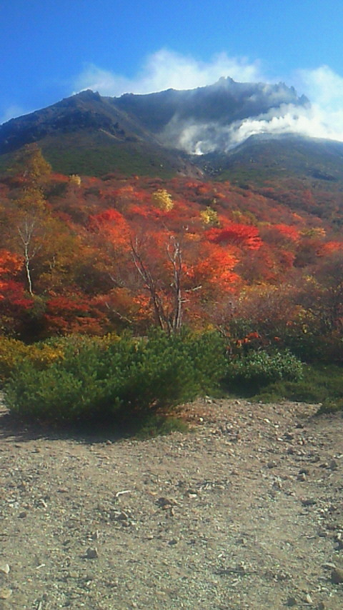 姥が平から望む茶臼岳の紅葉が綺麗でした 
